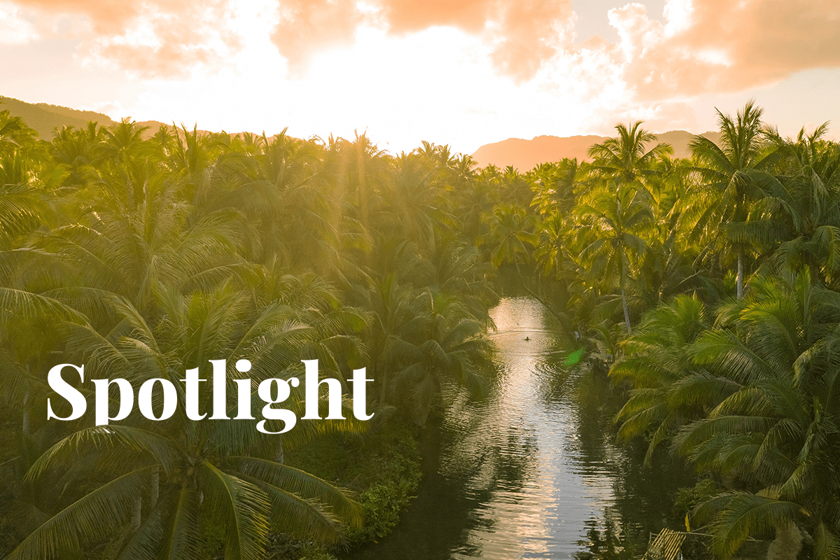 Belém chosen as host for COP30_view of Amazon Rainforest_visual 1