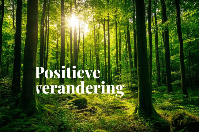 Belgium’s leading firms in carbon compensation efforts_Sonian Forest, Belgium_ A UNESCO-listed ancient woodland of ecological and historical significance_visual 1 NL