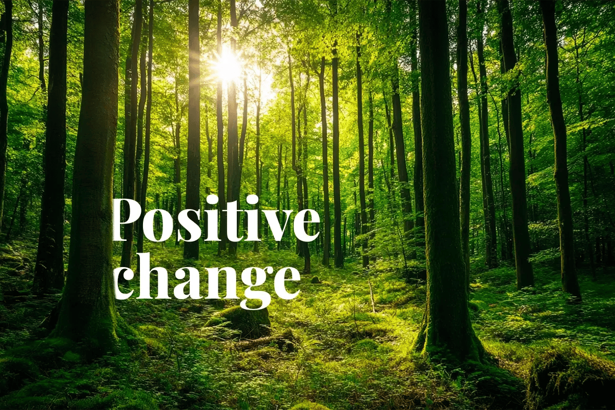 Belgium’s leading firms in carbon compensation efforts_Sonian Forest, Belgium_ A UNESCO-listed ancient woodland of ecological and historical significance_visual 1
