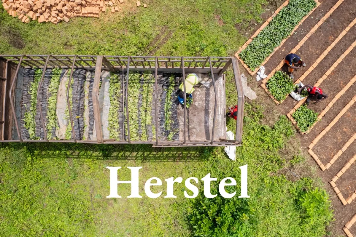 Beyond tonnes_ How carbon credit co-benefits elevate value_visual 1_NL