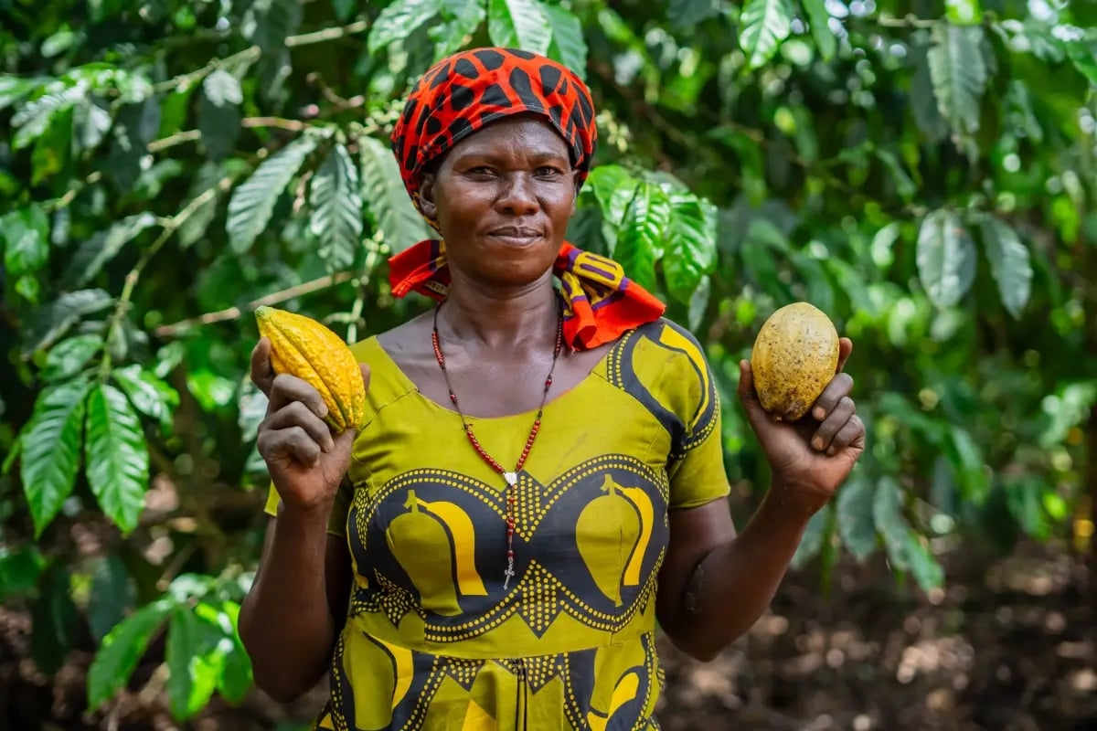 Beyond tonnes_ How carbon credit co-benefits elevate value_visual 2