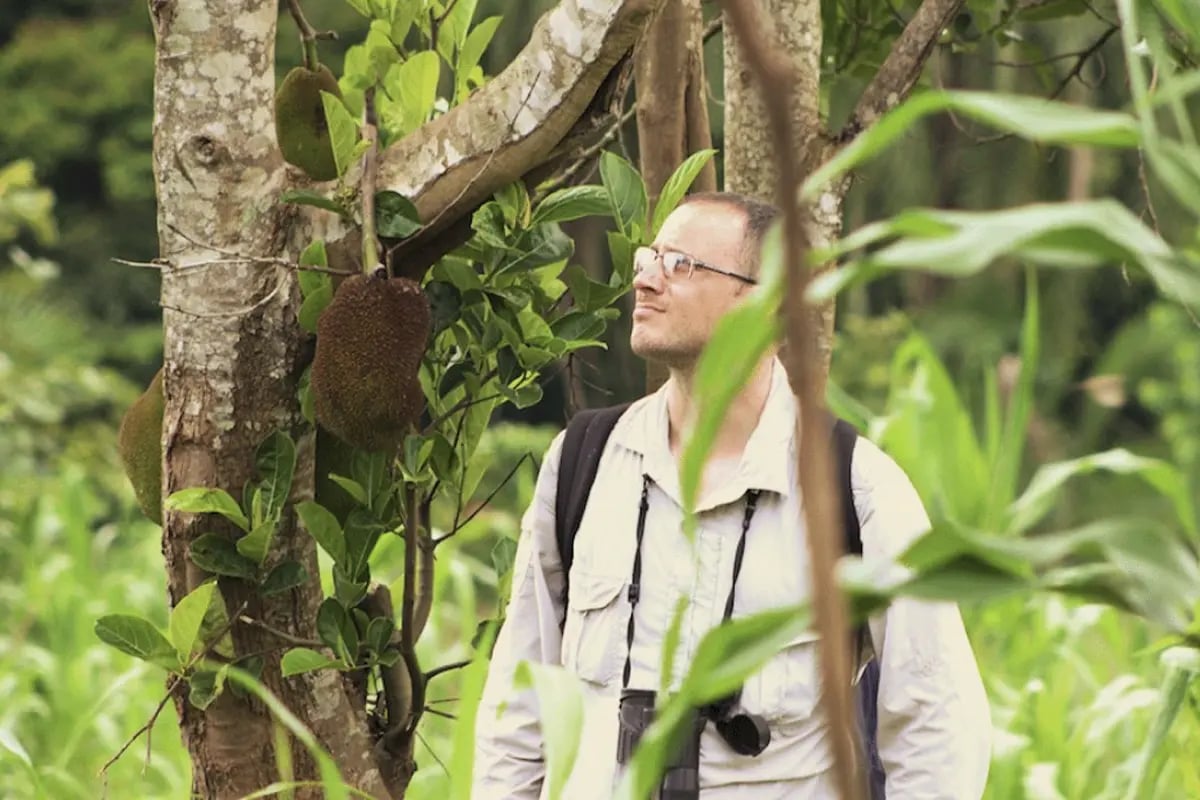 Beyond tonnes_ How carbon credit co-benefits elevate value_visual 4