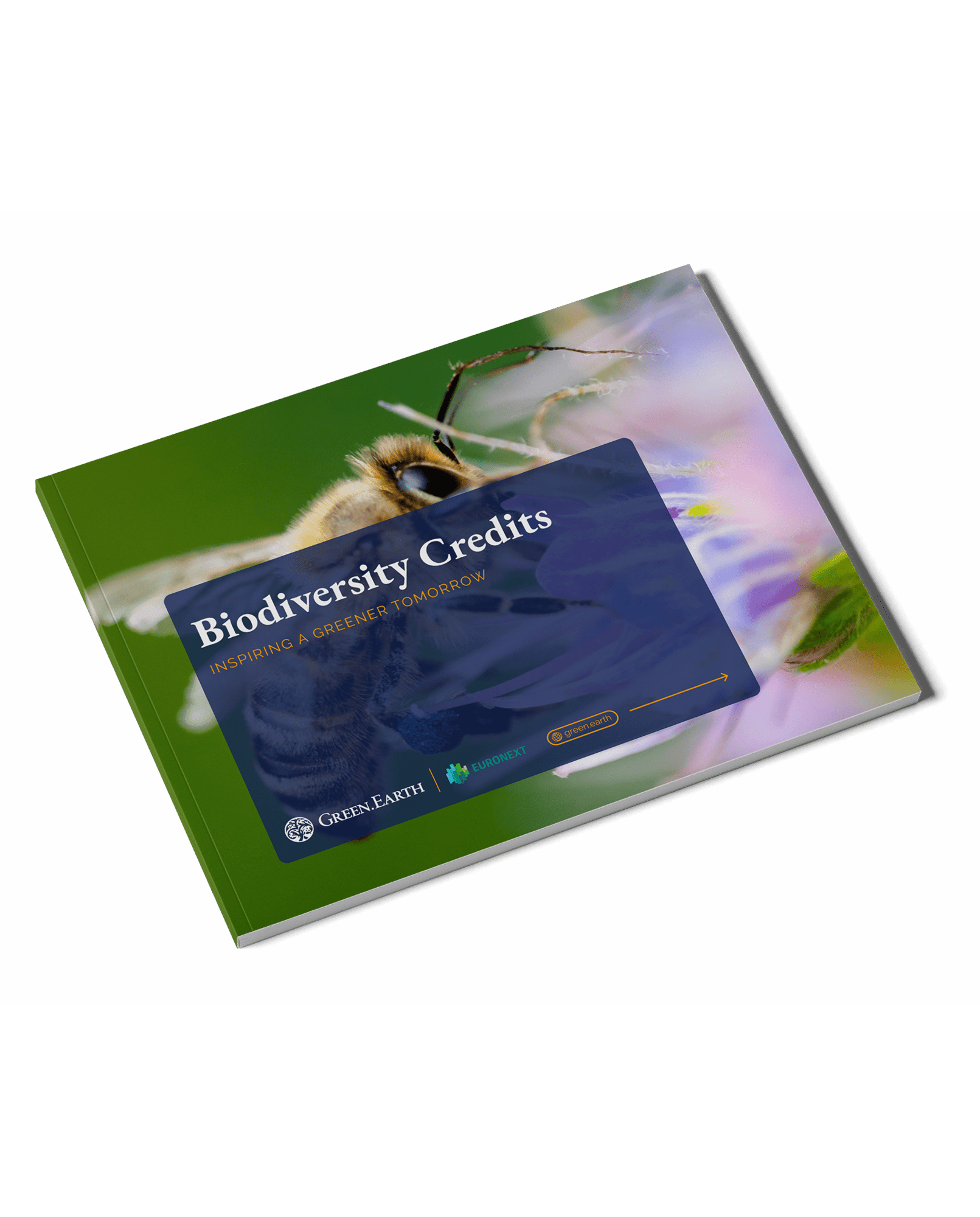 Biodiversity Credits_EN