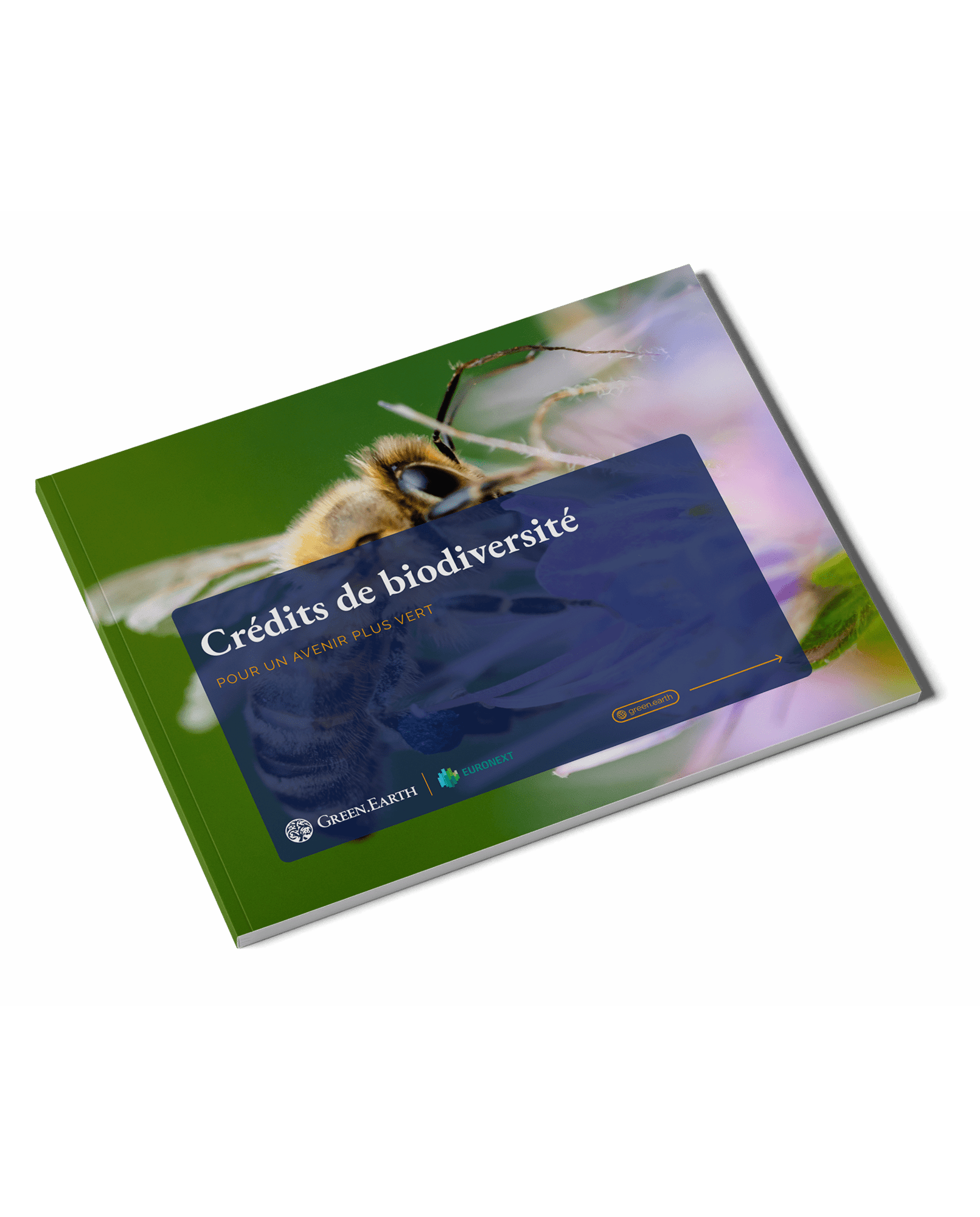 Biodiversity Credits_FR