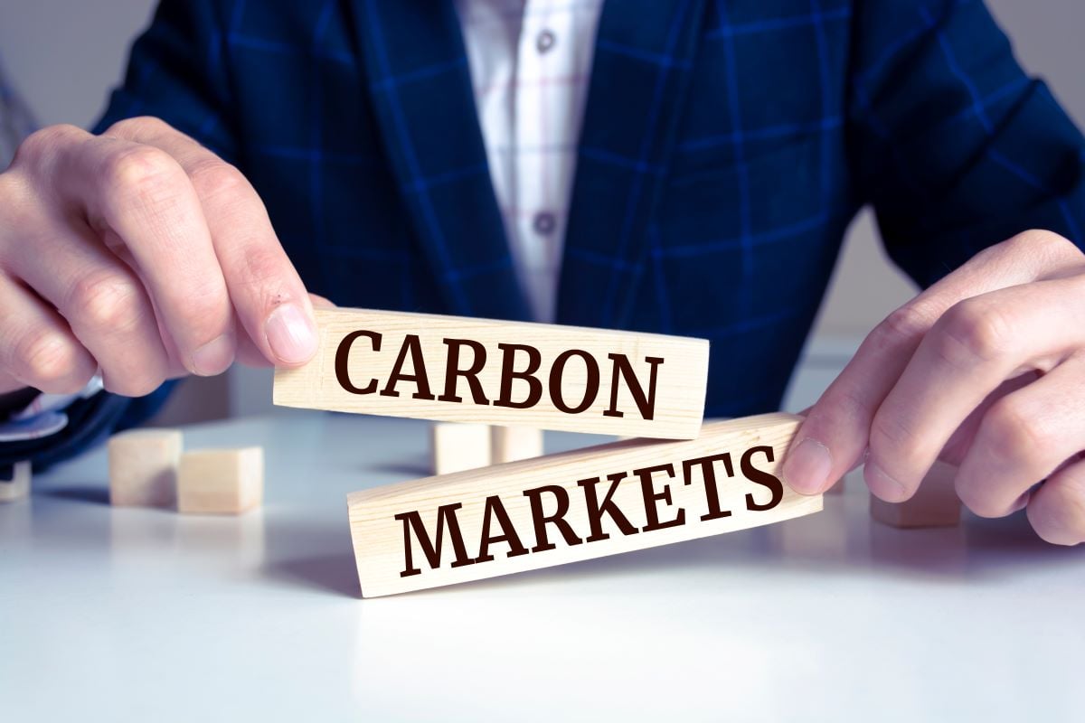 Bloomberg and Three Cairns Group form global carbon trust