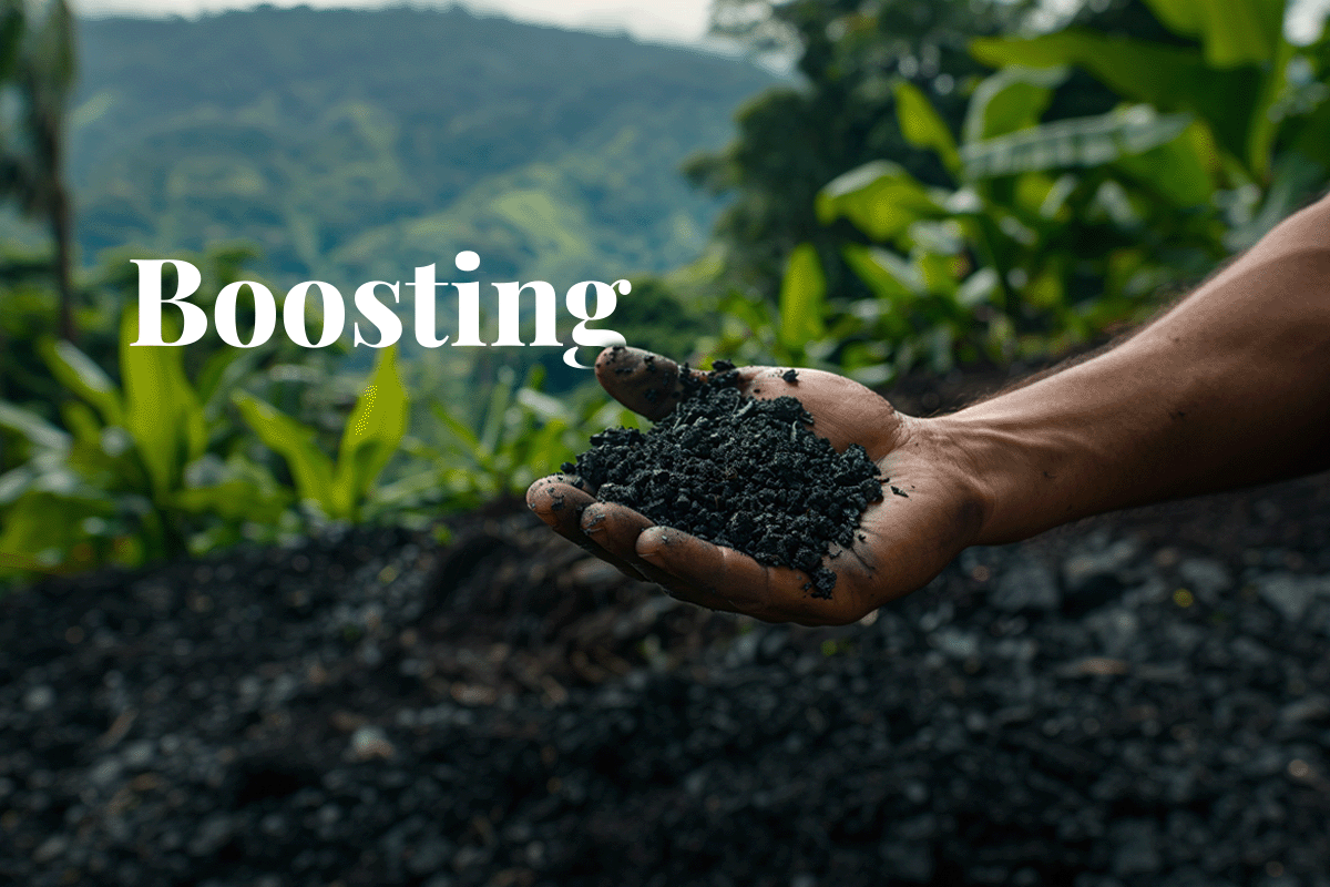 Boosting biochar_ NetZero secures $19.5M to expand carbon removal in Brazil_Close-up of a mans hand holding a handful of biochar, Brazilian landscape in the background_visual 1