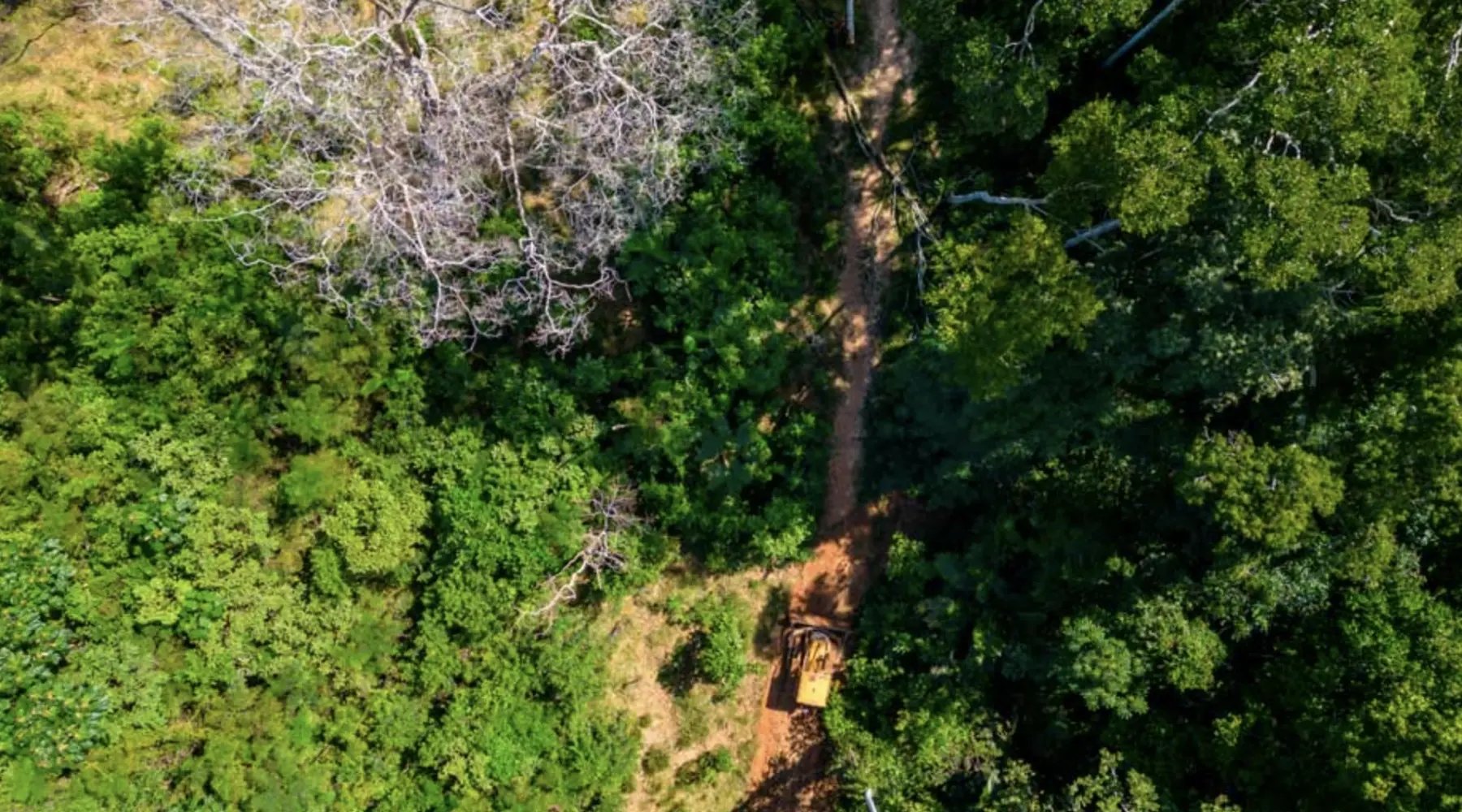 Brazilian Amazon APD Grouped Project