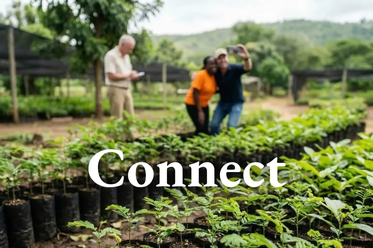 Building global awareness_ Green Earth’s outreach to independent analysts and commentators_visual 1