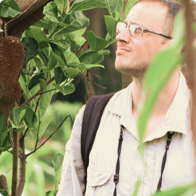 Bulindi Chimpanzee Habitat Restoration_gallery 2-min