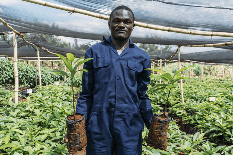 Bullish growth projections in the carbon market_ Local man working in a tree nursery_visual 7