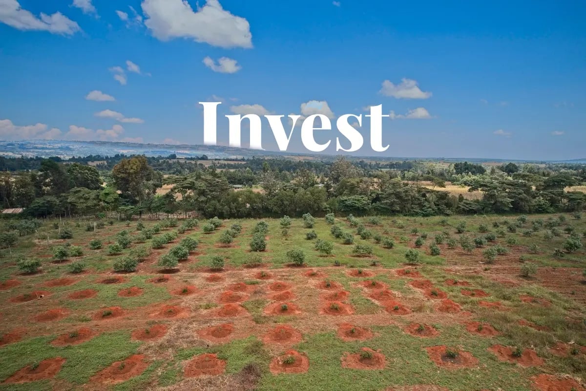 Buy green bonds_ a sustainable investment for a greener future_Drone photo of reforested area in Kenya_visual 1