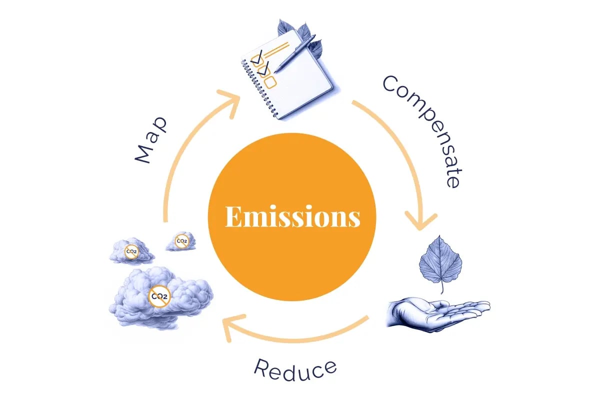 CF_Carbon footprint offsetting strategies_ how leading companies neutralise their emissions_visual 2