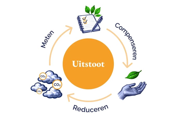 CF_Carbon footprint offsetting strategies_ how leading companies neutralise their emissions_visual 2_NL (1)