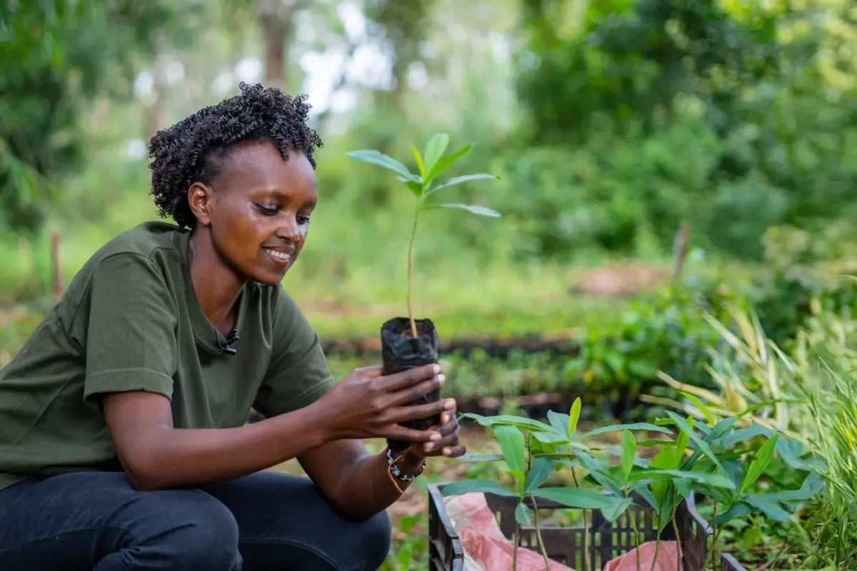 CF_Carbon footprint offsetting strategies_how leading companies neutralise their emissions_DGB team member holding a tree seedling at a tree nursery in Kenya_visual 6