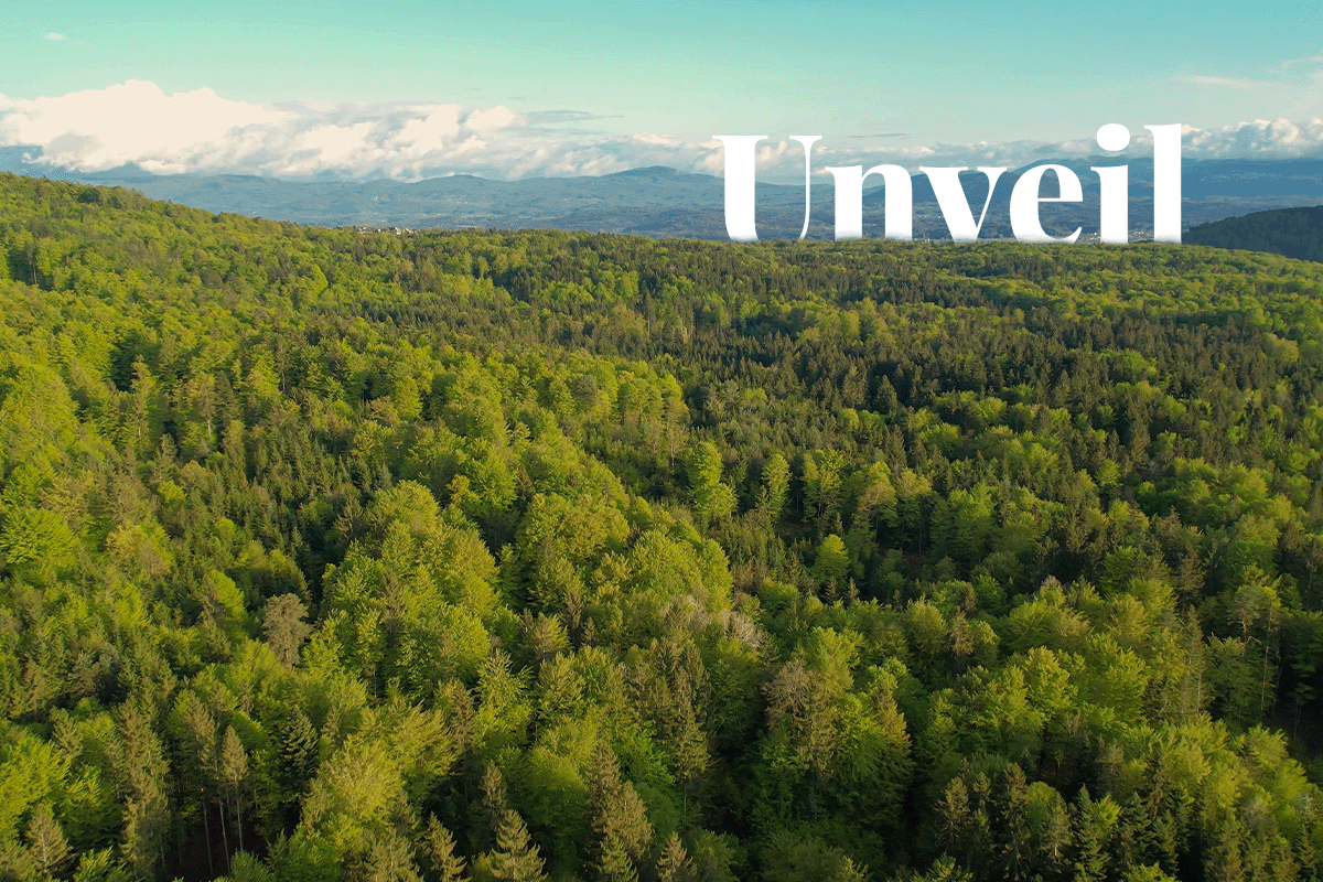 COP28 unveils $1 billion push for new forest economy_Aerial landscape view of mountains and a forest_visual 1