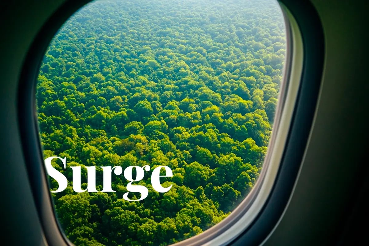 CORSIA carbon credit shortage may spike prices to $50_View of a dense forest from an airplane window_visual 1