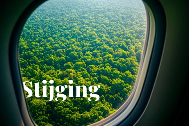 CORSIA carbon credit shortage may spike prices to $50_View of a dense forest from an airplane window_visual 1_NL