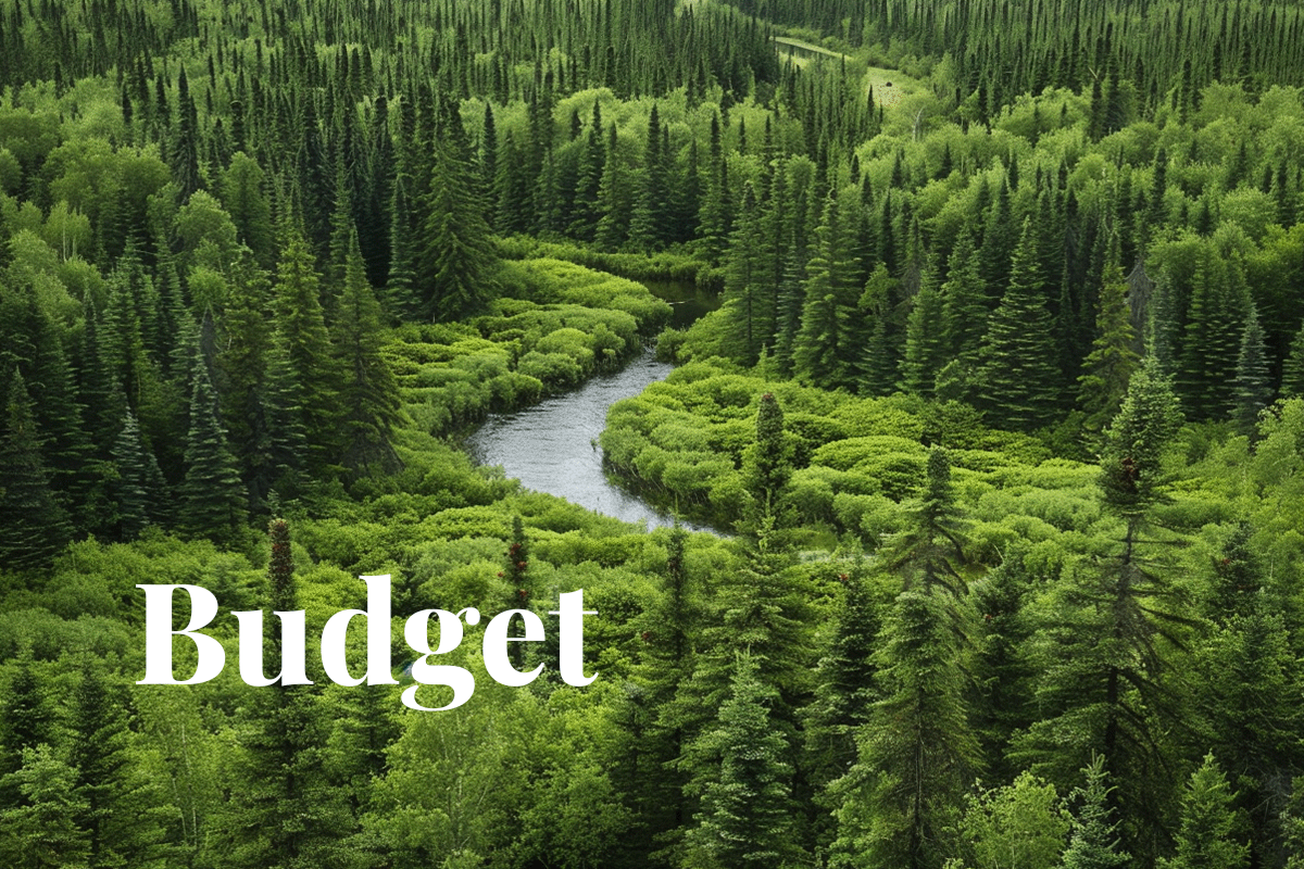 Canada pledges $135M to carbon removal in eco-forward budget_View of Boreal forest, the largest forested area in Canada_visual 1