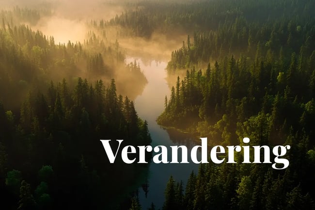Canada reconsiders carbon tax, US drops social cost of carbon in policy shift_The vast Boreal Forest stretching across Canada and partially extending into the USA_visual 1_NL