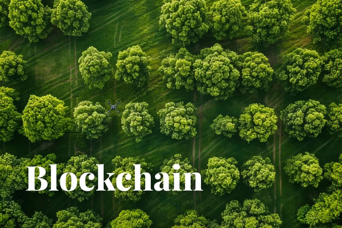 Carbify awarded for merging tech and nature at Dutch Blockchain Week_visual 1