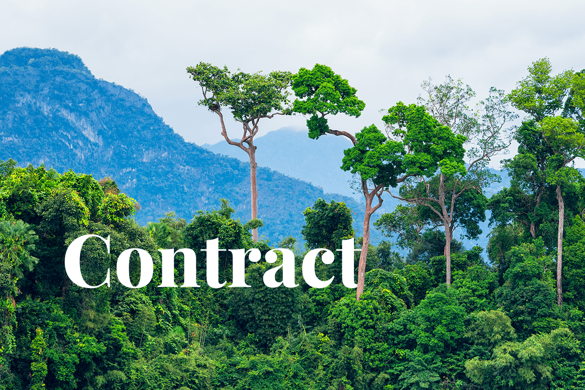 Carbon Exchange CIX Launches Nature-Based Contract for Forest Conservation_visual 1