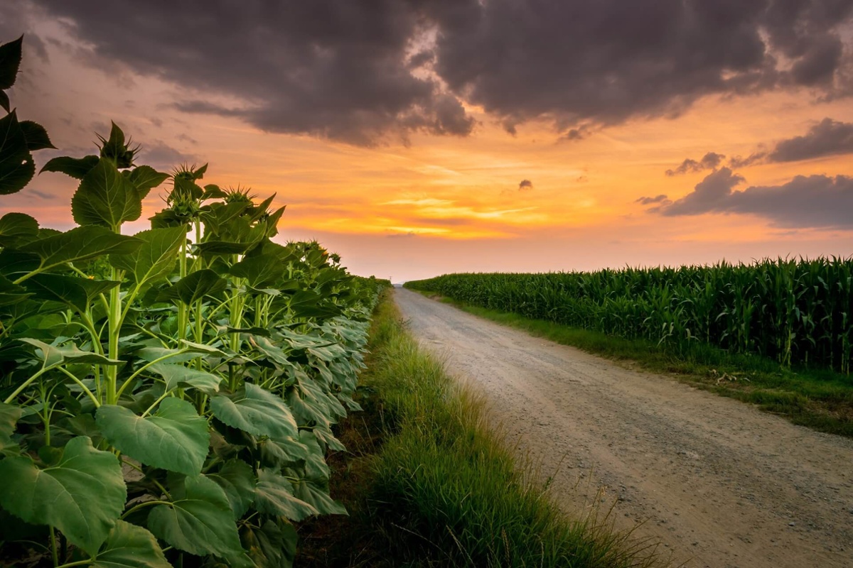 Why does carbon farming have a key role for land owners?