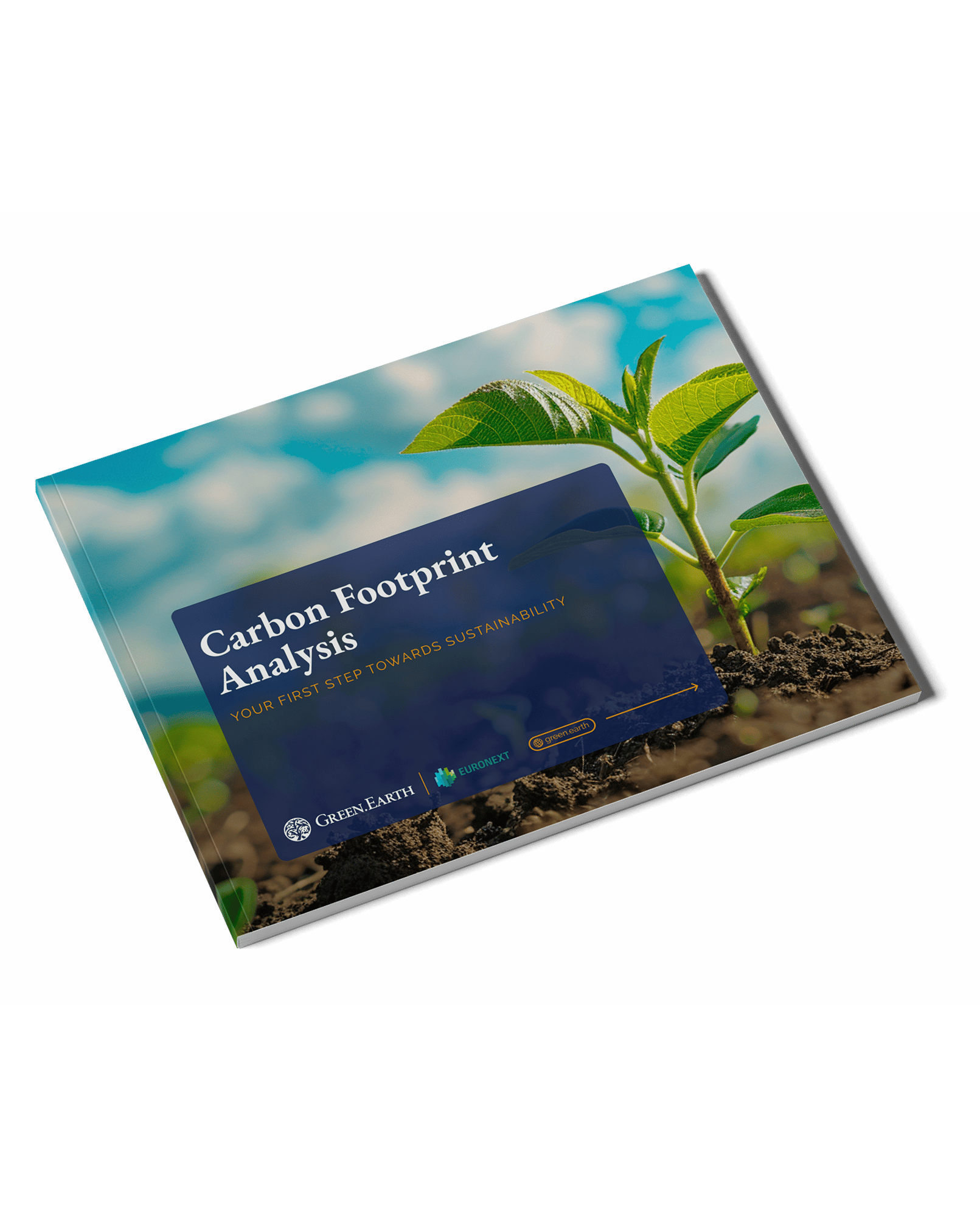Carbon Footprint Analysis_EN