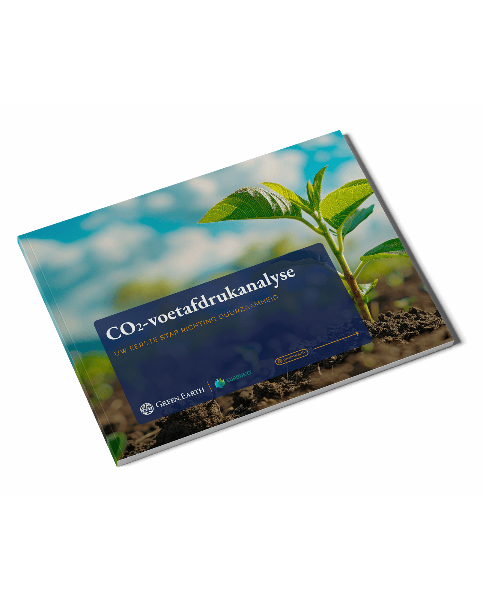 Carbon Footprint Analysis_NL