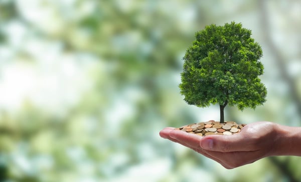 Carbon Footprint Calculator-5