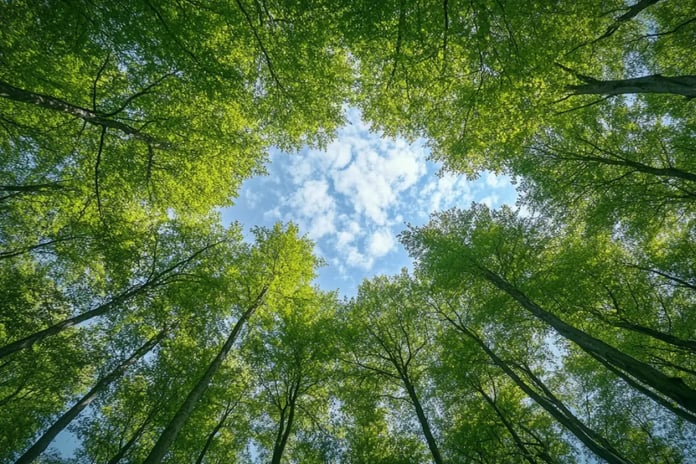 Carbon Prices Jump 7% in May as EU and UK Eye Market Alignment_visual 1