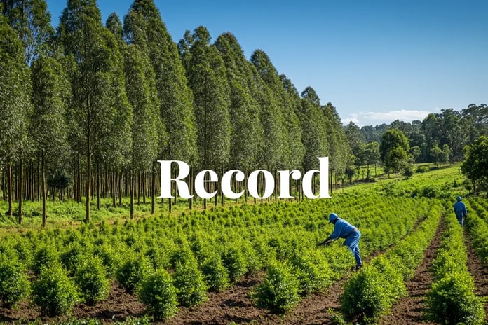 Carbon credit market hits milestone with record retirements and quality uptick_visual 1_NL