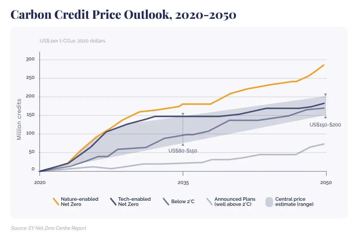 Carbon credit price guide_ Understanding spot, forward, and market factors_visual 4