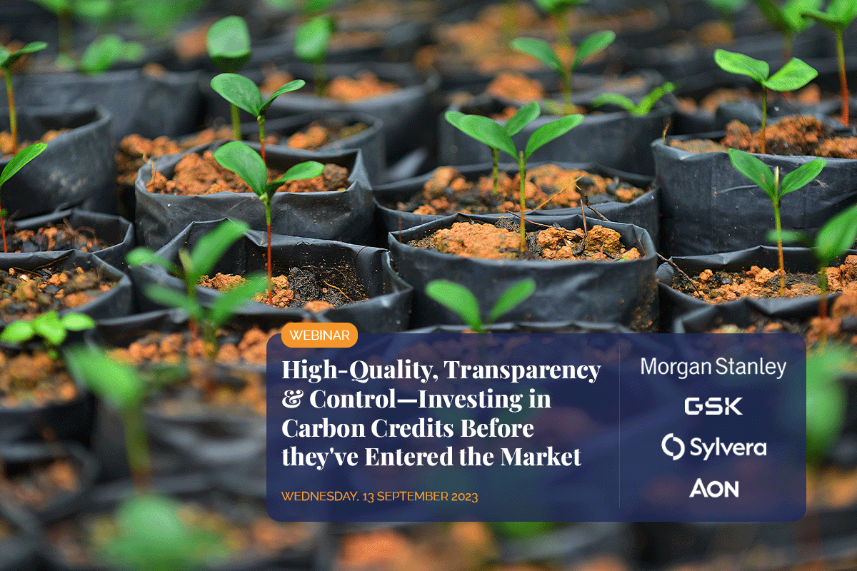 Carbon credits - High-Quality, Transparency and Control_young plant seedlings in a soil bags_visual 1