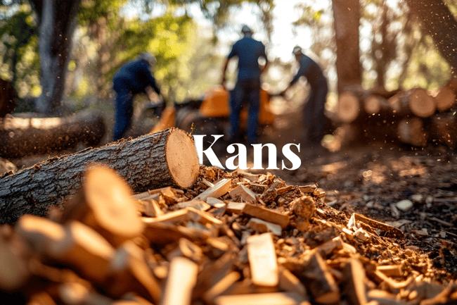 Carbon credits seen as catalyst to clear invasive trees in South Africa_Close-up of biomass from invasive trees, with logs and wood chips in the foreground and workers in a South African forest in the background_NL