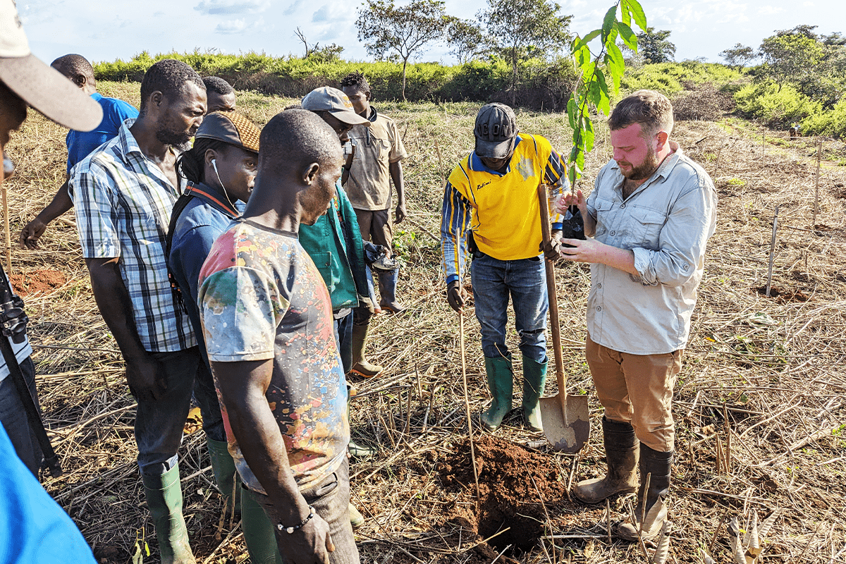 Carbon credits_ Sawa afforestation project_visual 4