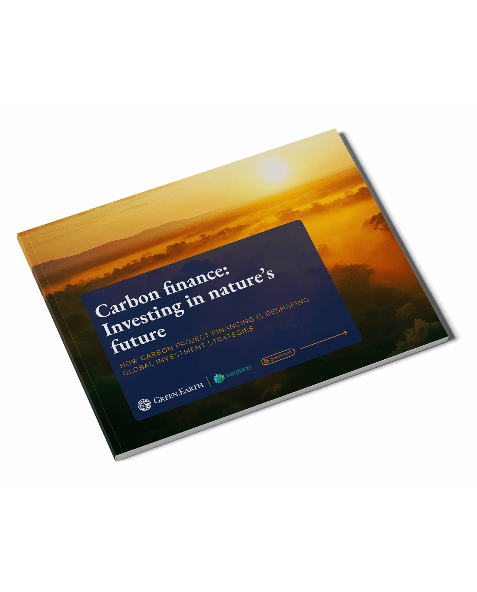 Carbon finance ebook_EN