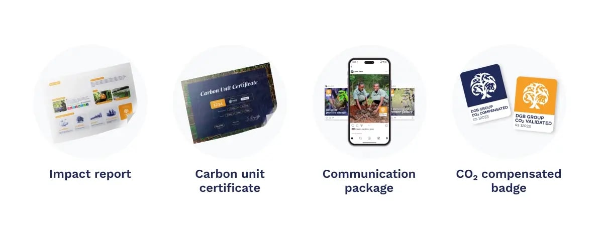 Carbon footprint measurement_ a practical guide_Share your progress_visual 3