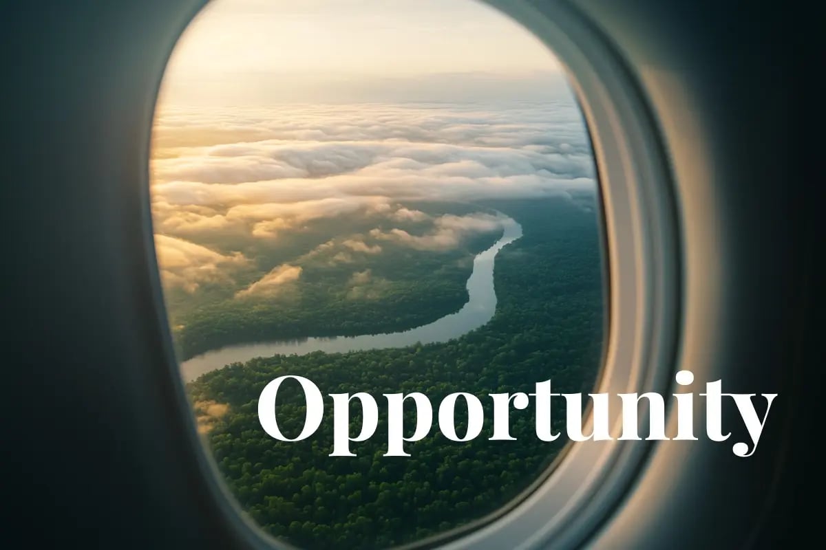 Carbon market enters next growth phase, backed up by quality and innovation_erial view of an EU deciduous forest seen through an airplane window_visual 1