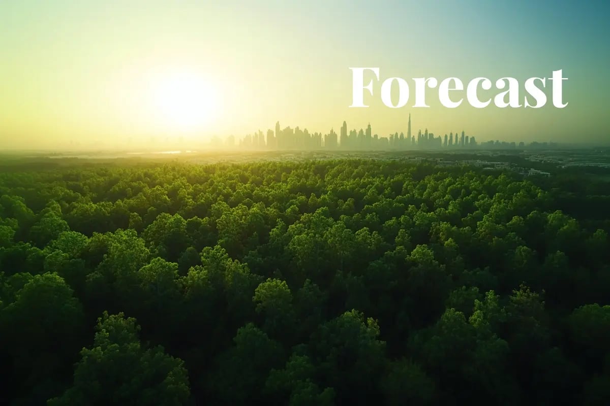 Carbon market poised to hit $1 trillion by 2050_Aerial view of a vast deciduous forest planted through a reforestation project, with a modern city visible on the horizon_visual 1