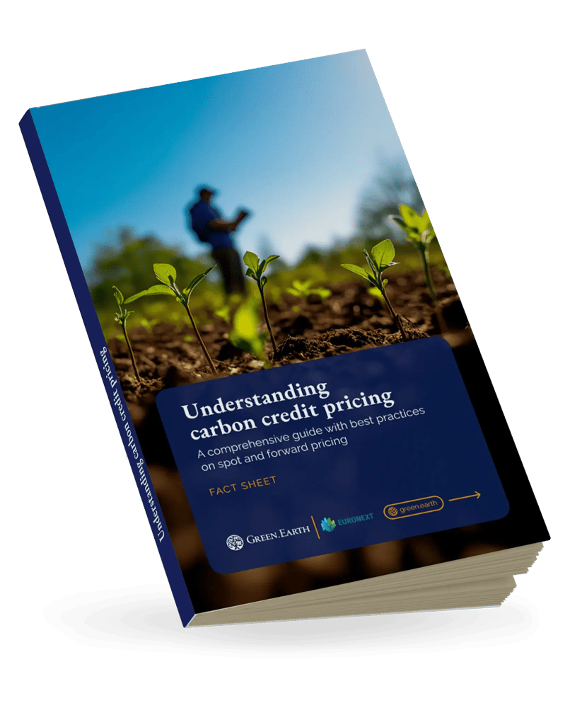 Carbon pricing fact sheet EN