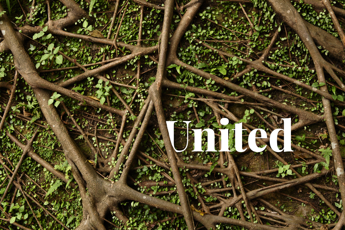 Carbon-removal companies unite to lobby for new US government policies_visual 1