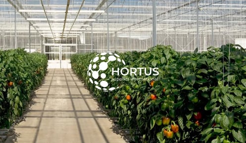 Hortus Supplies: slimmer en groener telen, wereldwijd