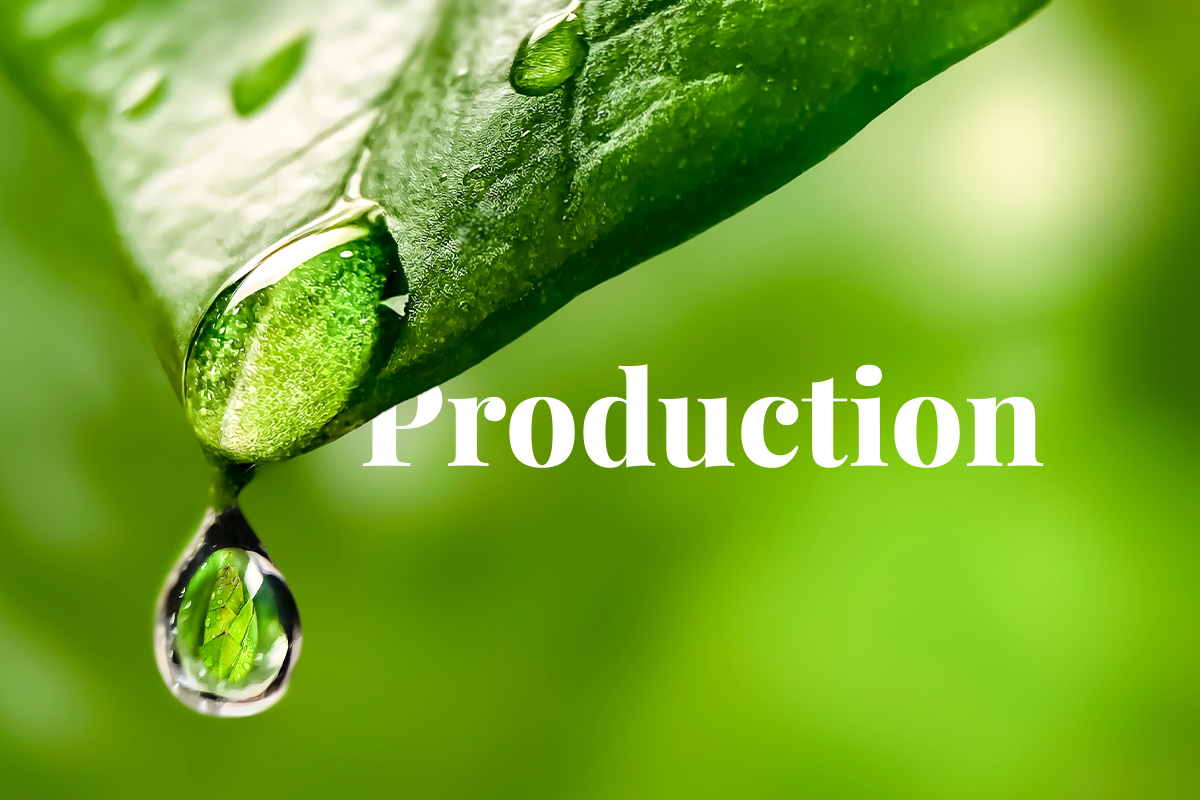 Chiles largest green hydrogen plant to begin synthetic gasoline production_visual 1
