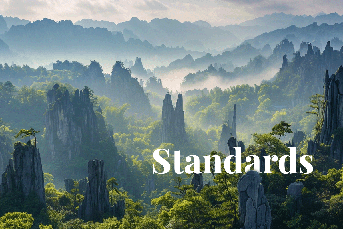 Chinas carbon market gears up for unified standards_Landscape view of Stone Forest in China_visual 1