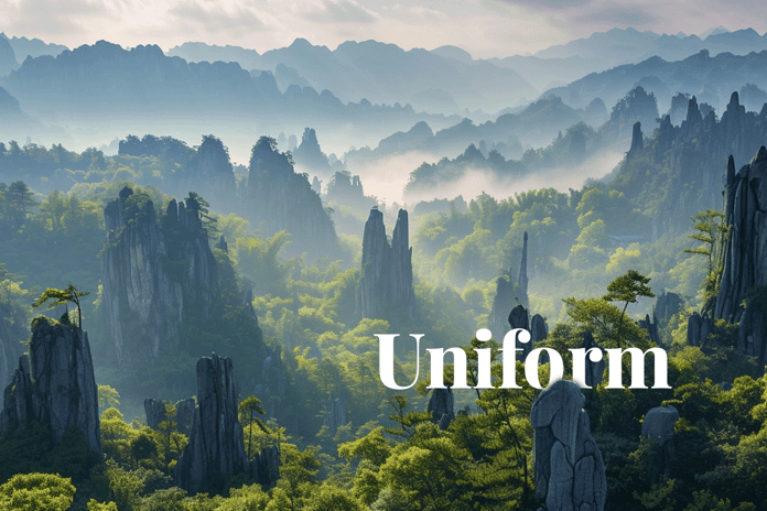 Chinas carbon market gears up for unified standards_Landscape view of Stone Forest in China_visual 1_NL