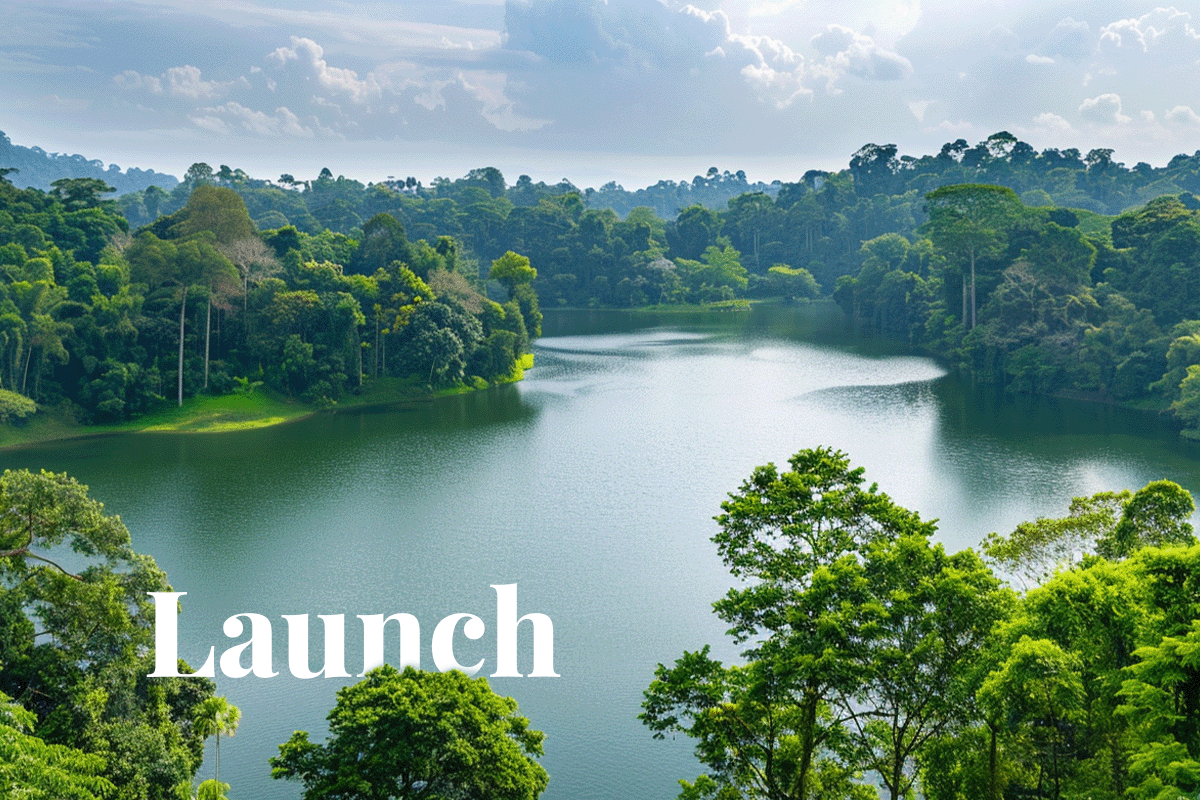 Climate Impact X introduces nature-based carbon credit trading_Landscape view of MacRitchie Reservoir nature in Singapore_visual 1