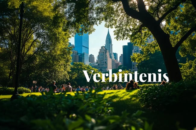 Climate Week NYC 2024_ carbon deals surge, buyers needed for next steps_A view from behind bushes of a vibrant New York City park with buildings in the background_visual 1 NL