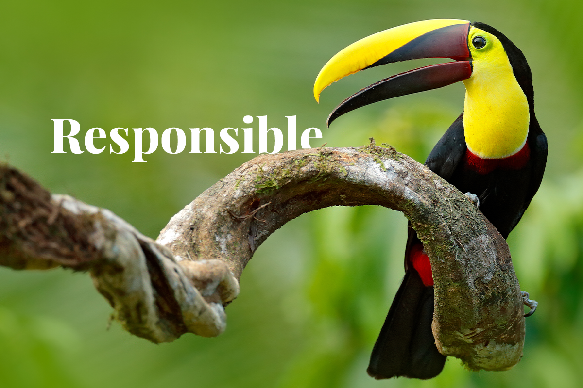 Colombia ́s environment Ministry to create biodiversity agency_visual 1