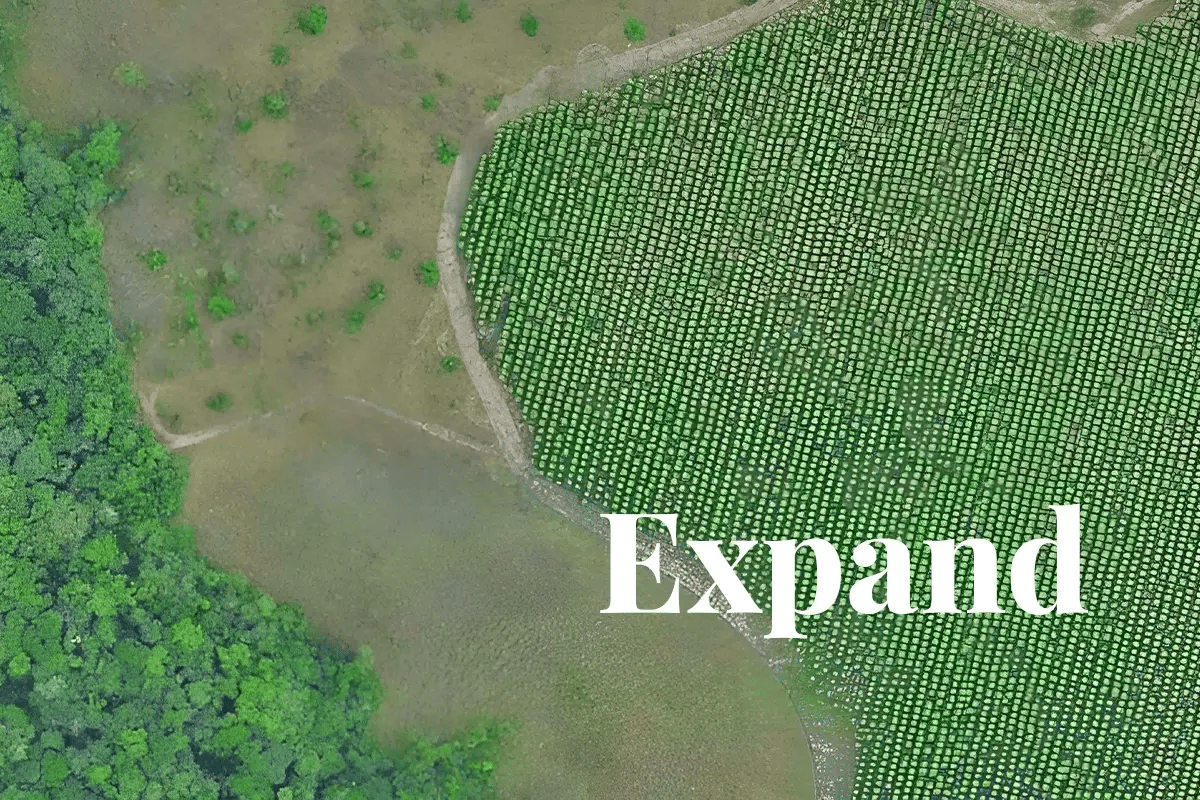 Colomia Project Colombia’s largest carbon project gets $100m investment boost