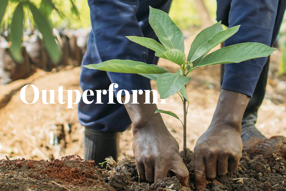 Companies investing in carbon credits outperform peers in environmental action_Close up of a local man planting a tree seedling_visual 1